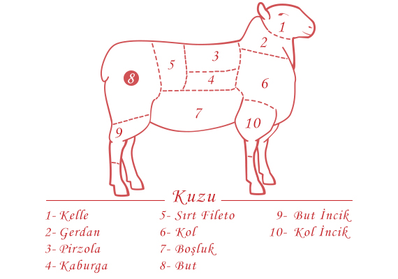 SÜT KUZU KEMİKLİ YUMURTA Et Keyfi Ankara Çayyolu Kasap ve Şarküteri